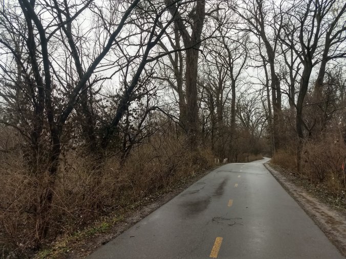 portrait of walkway on a cloudy morning